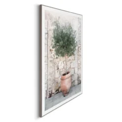 Bild OLIVE TREE