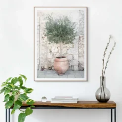 Bild OLIVE TREE