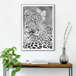 Bild PANTHER PORTRAIT