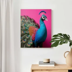 Bild PINK PEACOCK