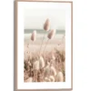 Bild ROMANTIC GRASSES