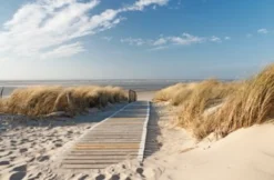 Bild SEA BREEZE P
