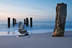 Bild SEASIDE S