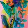 Bild VIVID FLORA
