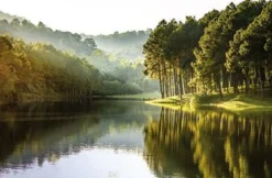 Bild WALD & SEE P
