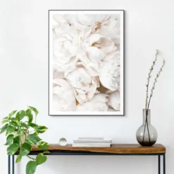 Bild WHITE ROSES