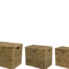 Box ADVENTURE mittel