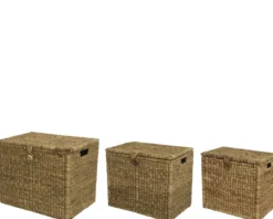 Box ADVENTURE mittel