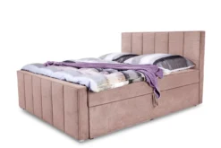 Boxbett RIO