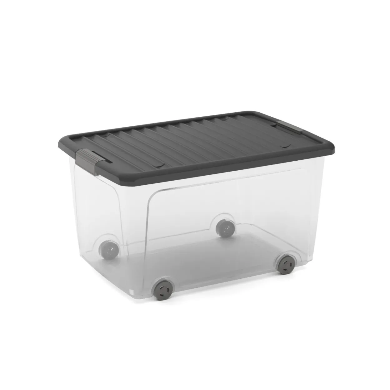 Box L 50 Liter