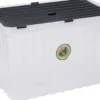 Box WAVE