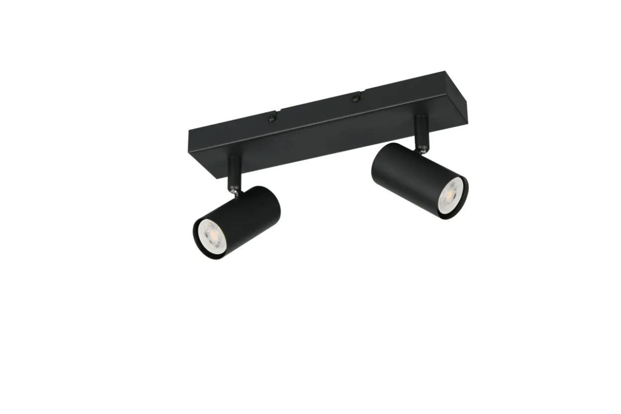 Deckenspot TARYN 2-flammig