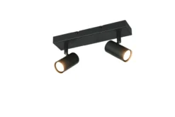 Deckenspot TARYN 2-flammig