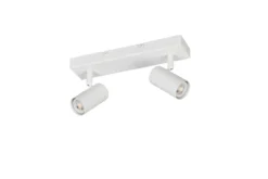 Deckenspot TARYN 2-flammig