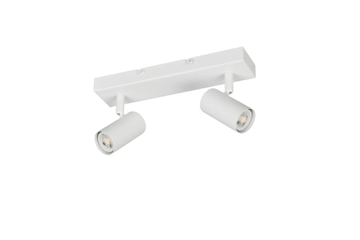 Deckenspot TARYN 2-flammig