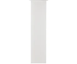 Flächenvorhang COBY creme