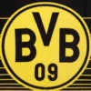Fleecedecke BVB STREIFEN