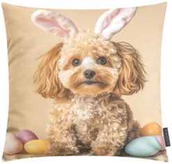 Kissen DOG