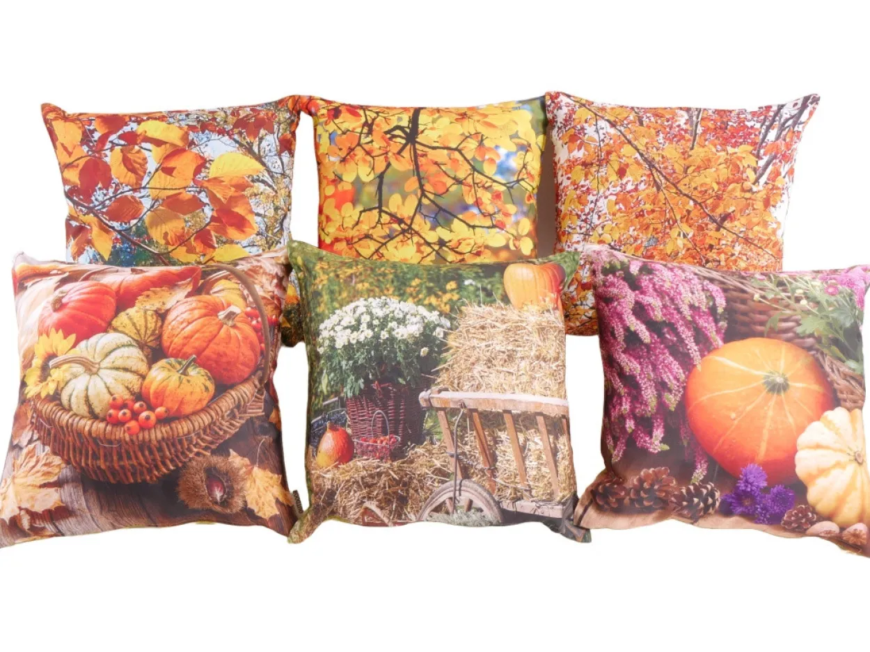 Kissen OUTDOOR AUTUMN I