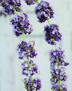 Kunstblume AMARANTHUSZWEIG