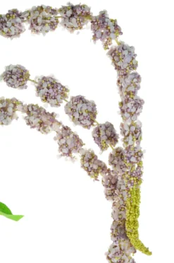 Kunstblume AMARANTHUSZWEIG