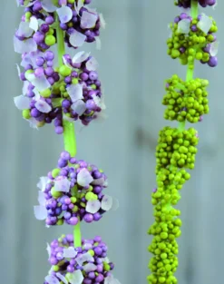 Kunstblume AMARANTHUSZWEIG