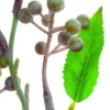Kunstblume BEERENPICK
