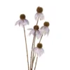 Kunstblume ECHINACEA lila