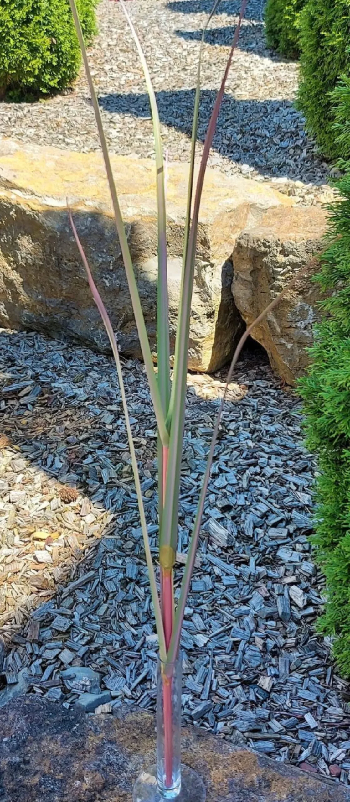 Kunstblume GRASZWEIG