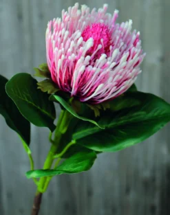 Kunstblume PROTEA