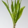 Kunstblume TULPENBUND