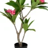 Kunstpflanze FRANGIPANI