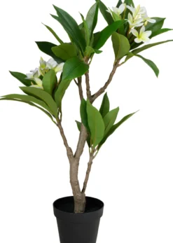 Kunstpflanze FRANGIPANI