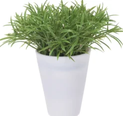 Kunstpflanze PLANT