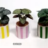 Kunstpflanze STRIPES