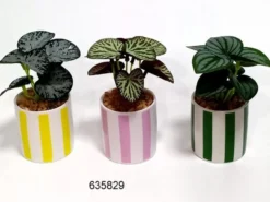 Kunstpflanze STRIPES