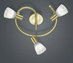 LED-Schnecke LEVISTO