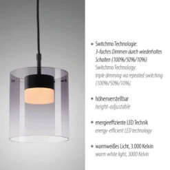 Pendelleuchte ELIO LED