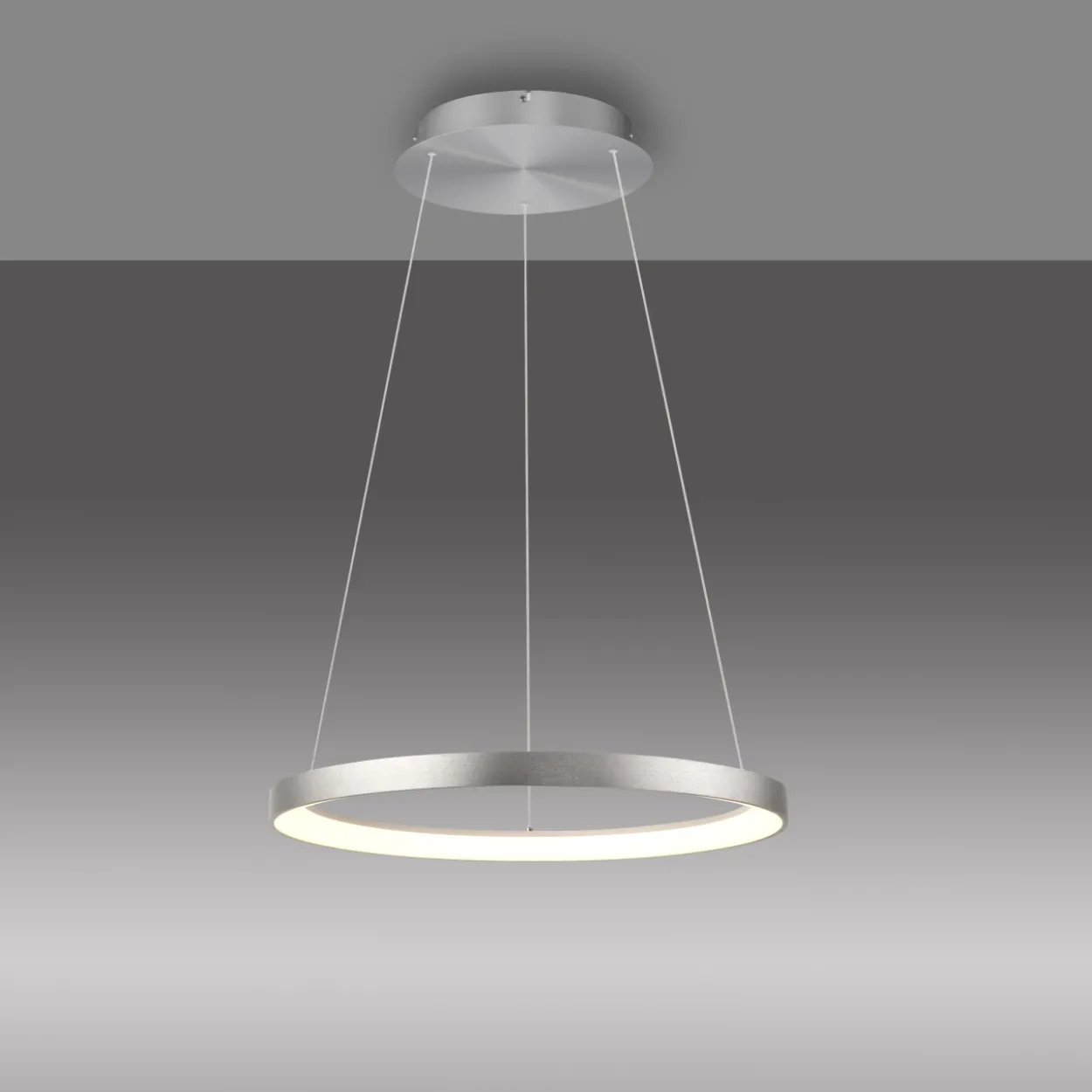 Pendelleuchte HOOP LED