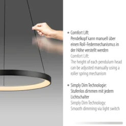 Pendelleuchte HOOP LED