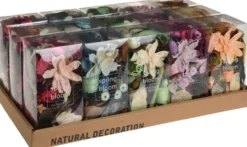 Potpourri MIX