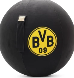 Sitzball BVB 09