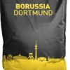 Sitzsack BVB 09
