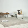 Teppich VIVA silber