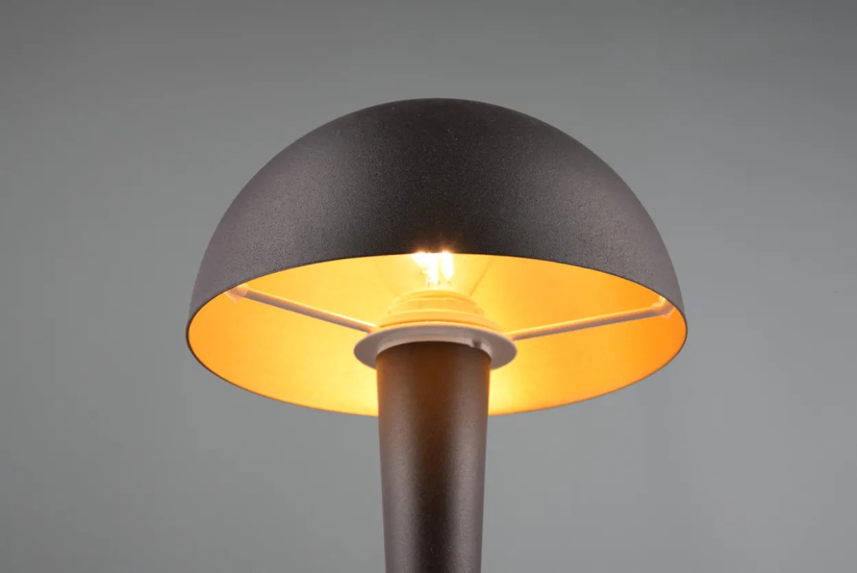 Tischleuchte CANARIA LED