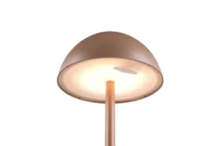 Tischleuchte RICARO LED AKKU