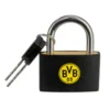 Vorhängeschloss BVB