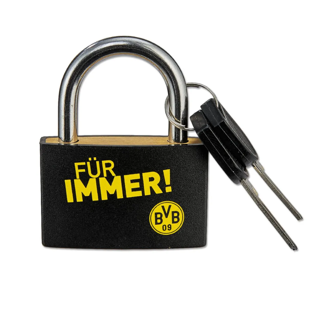 Vorhängeschloss BVB