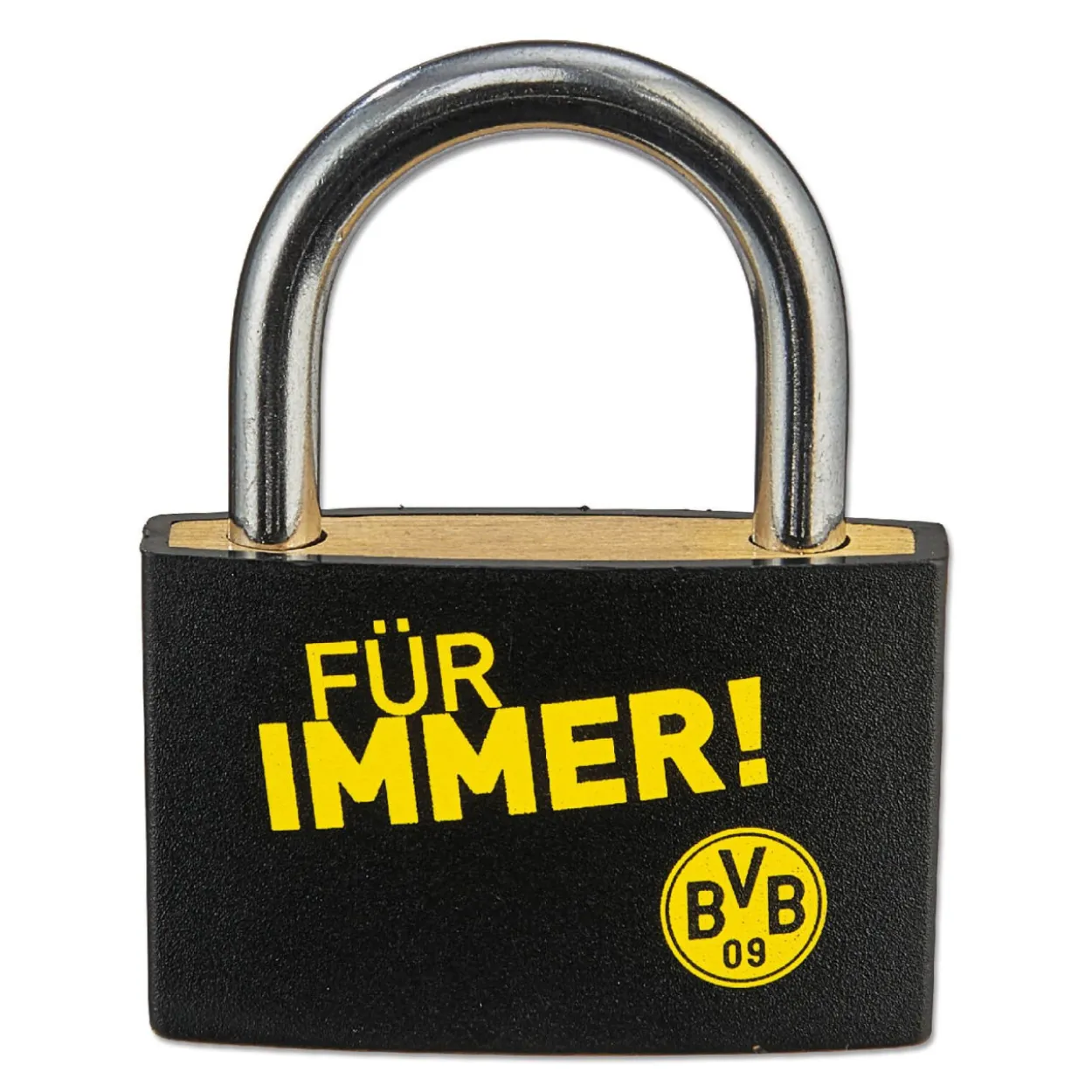 Vorhängeschloss BVB