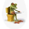 WC-Sitz FROG NEWS